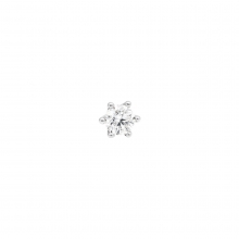 Beyaz Altın Tektaş Tragus Piercing AS155PCR3