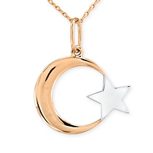 Altın Ay Yıldız Kolye KLY0648-4989