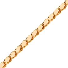 Rose Altın Pul Zincir 50 cm AS1402ZCR2